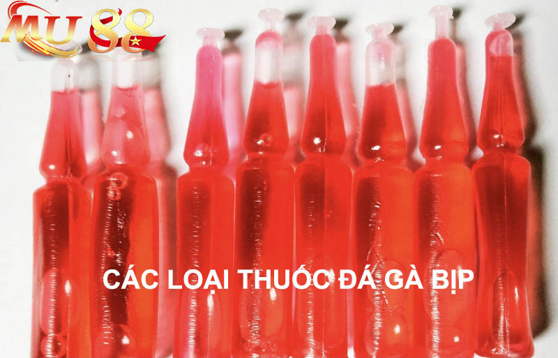 các loại thuốc đá gà bip